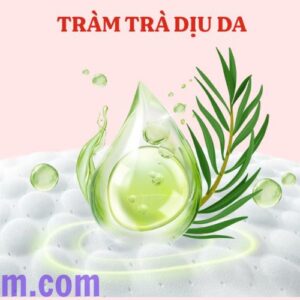 Một trong những điểm nổi bật của sản phẩm là hương tràm trà dịu nhẹ