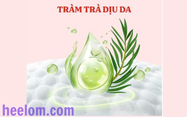 Một trong những điểm nổi bật của sản phẩm là hương tràm trà dịu nhẹ